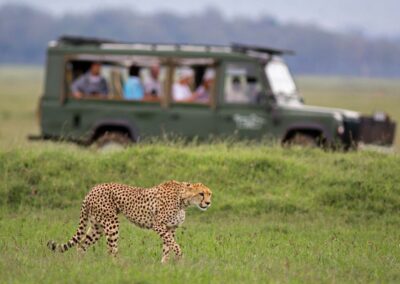 Blossom Kenya Safaris